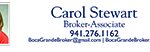 CAROL STEWART GM10 NOV DEC 2014 (2)